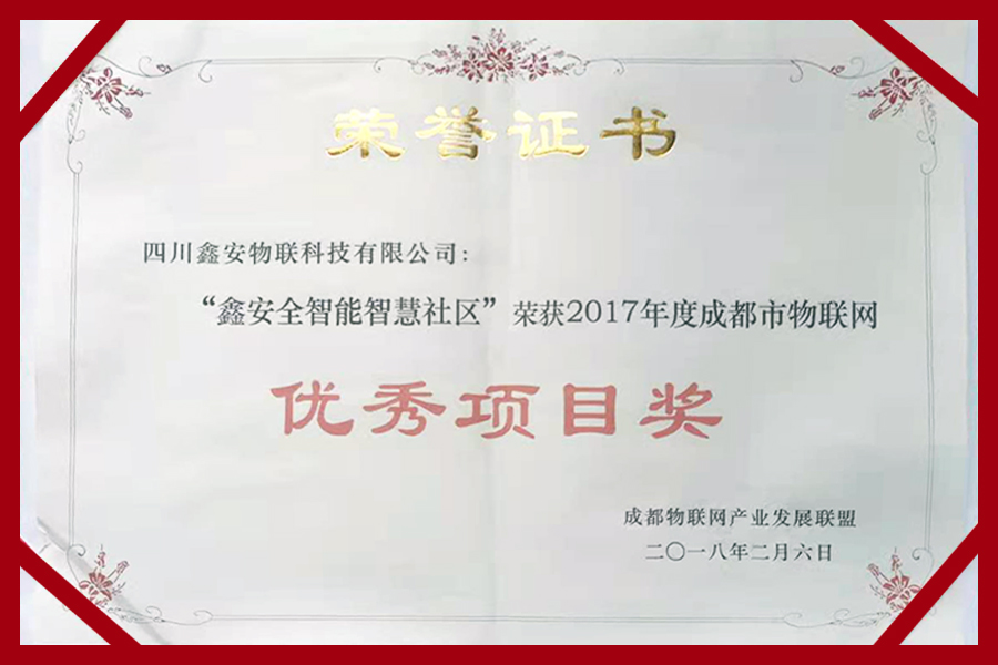 優(yōu)秀項目獎